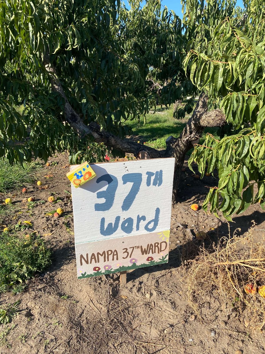 Peaches! New Ward Row Sign!